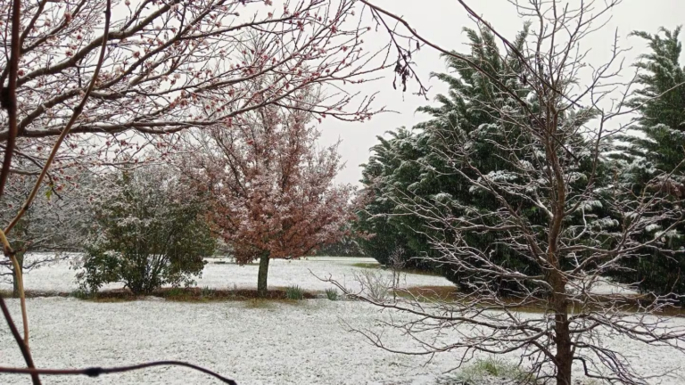 nieve-en-achiras-cordoba-gentileza-digital-sampacho-N6EMGQBYAJGZLLPWD6L33S2RFY